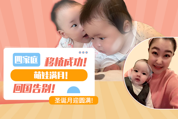 美国试管婴儿成功案例：国内四个家庭均于圣诞月迎来圆满时刻!