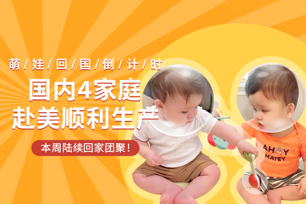 4个家庭去美国做试管婴儿均已顺利生产，萌娃回国倒计时！