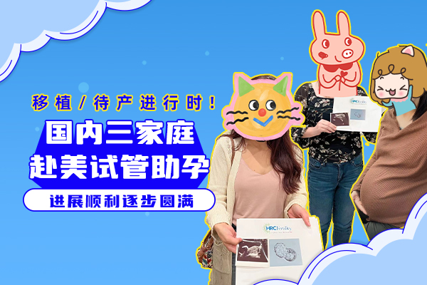 移植/待产进行时！国内三个家庭赴美试管助孕进展顺利！